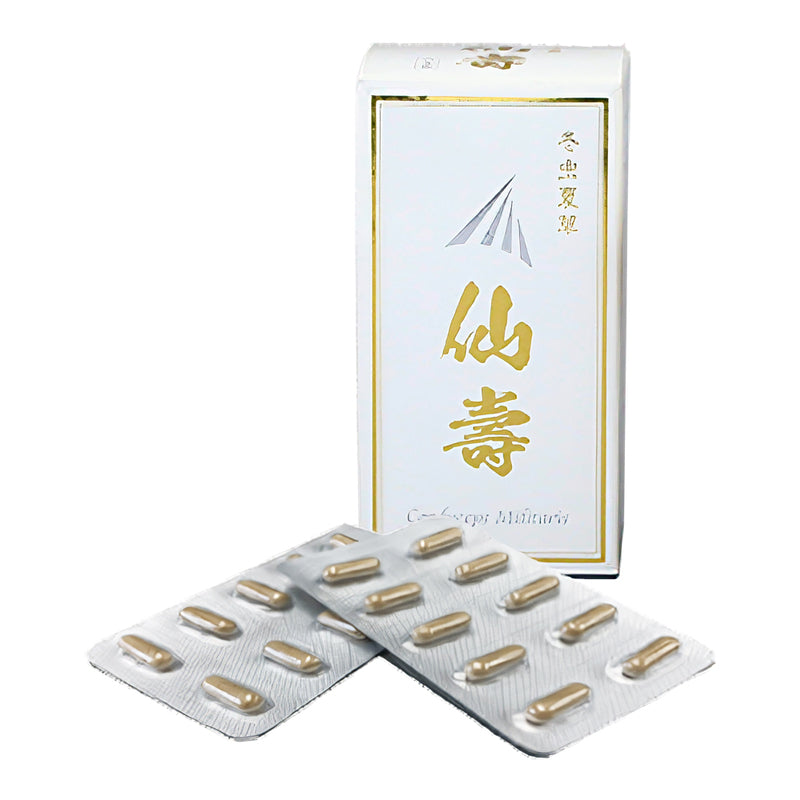 冬虫夏草 仙壽